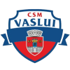 CSSM Vaslui logo