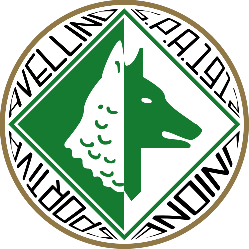Avellino U-19 logo