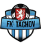 Tachov logo