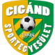 Cigand logo