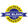 SK Blava logo