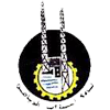 Aswan FC logo