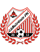 Lidkoping logo