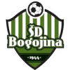 Bogojina logo