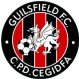 Guilsfield logo