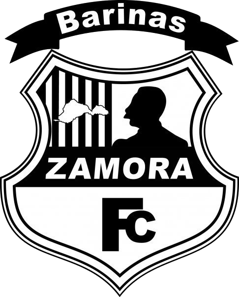 Zamora logo