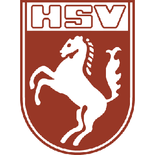 Hammer SpVg logo