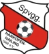 Hankofen-Hailing logo