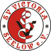 Victoria Seelow logo