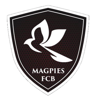 Magpies logo