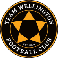 Team Wellington logo