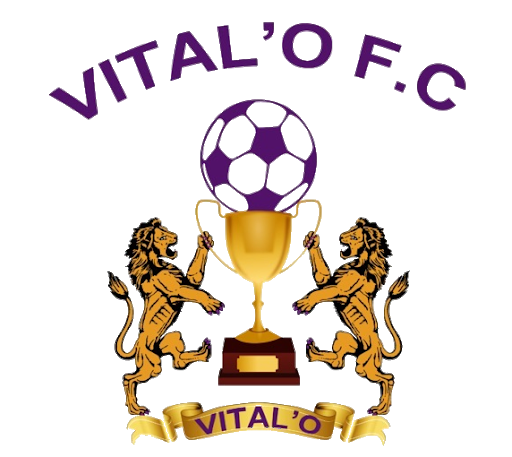 VitalO logo