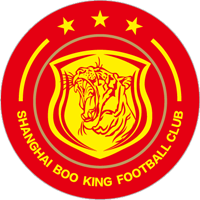 Shanghai Jiading logo