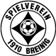Breinig logo