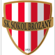 Sokol Brozany logo