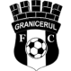 Granicerul logo