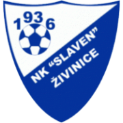 Slaven Zivince logo