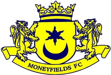 Moneyfields logo