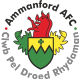 Ammanford logo