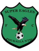 Super Eagles logo