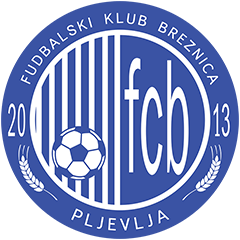 Breznica W logo