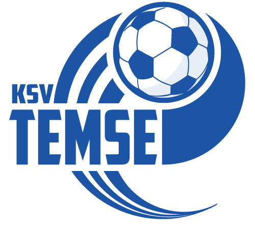 Temse logo