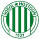 Sokol Hostoun logo