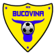 Bucovina Radauti logo