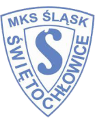 Slask Switochlowice logo