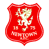 Newtown logo