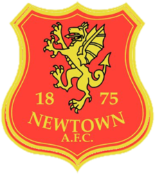 Newtown logo