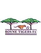 Boyne Tigers logo