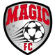 The Magic logo