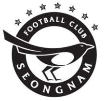 Seongnam logo