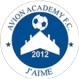 Avion Academy logo