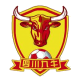 Sichuan Jiuniu logo