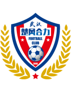 Hubei Istar logo