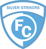 Silver logo