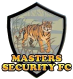 Masters Security logo