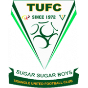 Triangle logo