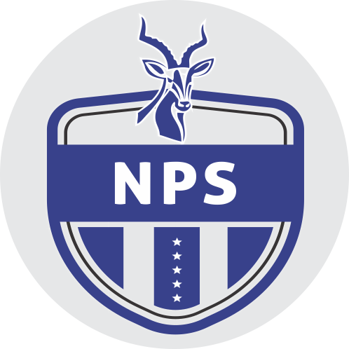 Ngezi Platinum FC logo