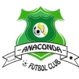 Anaconda logo