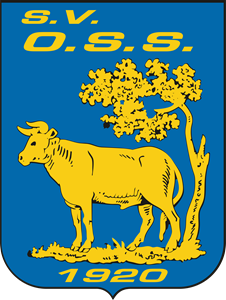 OSS 20 logo