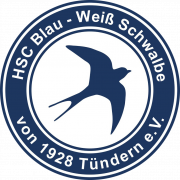 Schwalbe Tundern logo