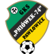 Pawlowice Slaskie logo