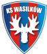 Wasilkow logo