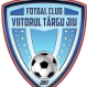 Viitorul Targu Jiu logo