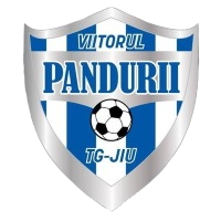 Viitorul Targu Jiu logo