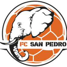 San-Pedro logo