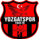 Yozgatspor logo